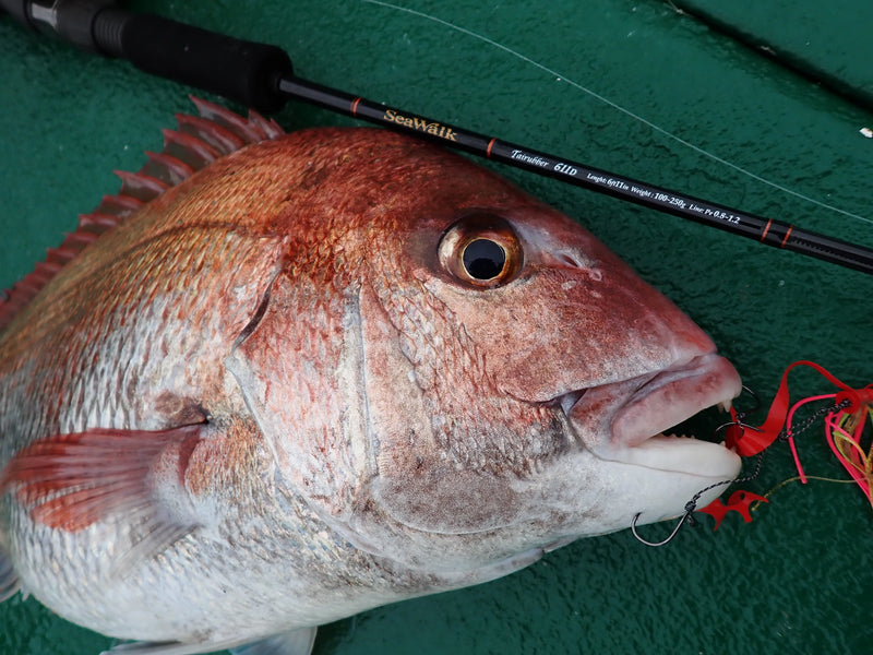 Yamaga Blanks - SeaWalk Tairubber 611D Slider Rod