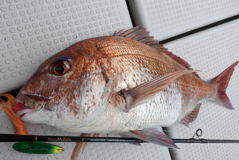 Yamaga Blanks - SeaWalk Tairubber 70AT Slider Rod