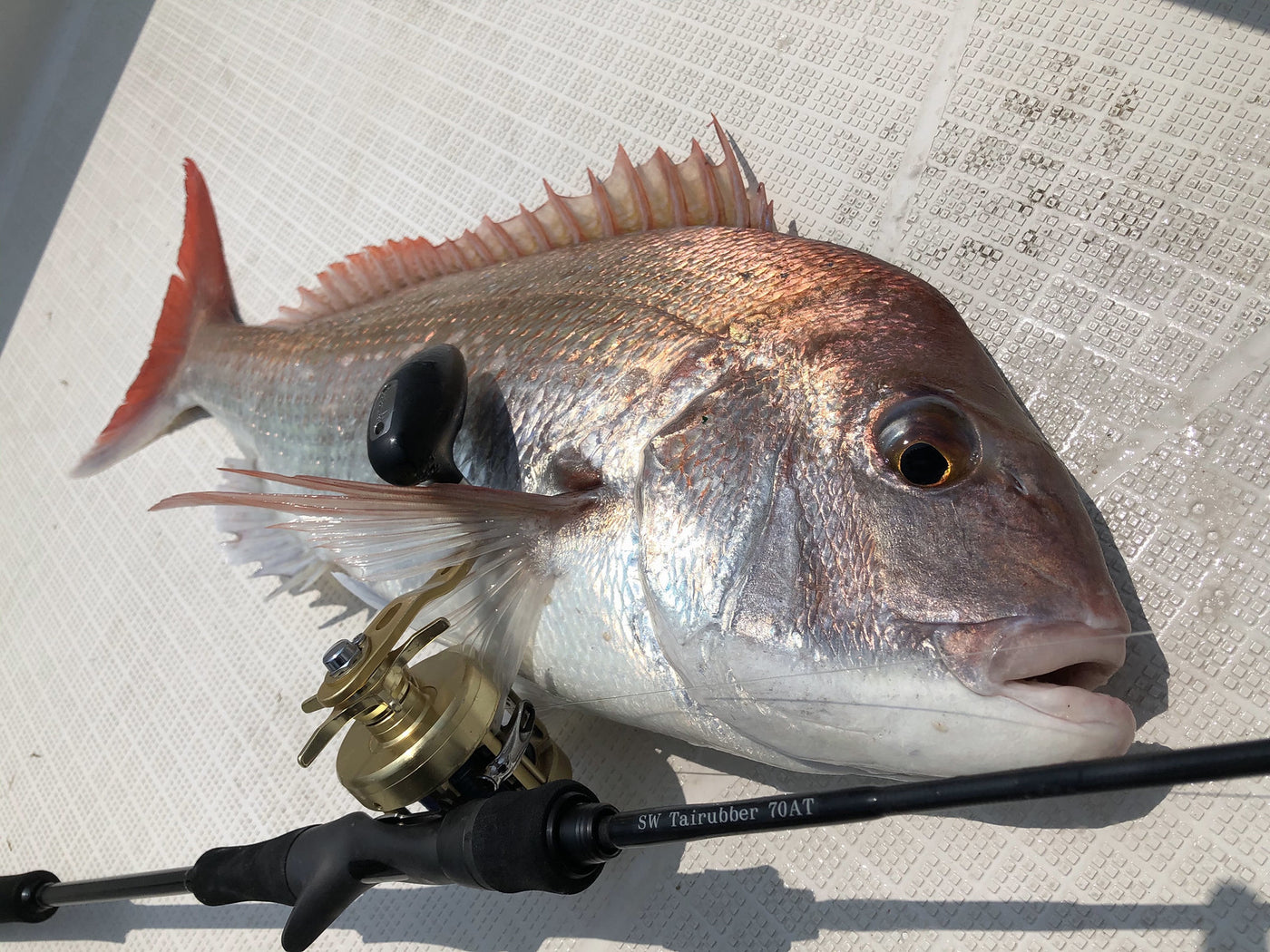 Yamaga Blanks - SeaWalk Tairubber 70AT Slider Rod