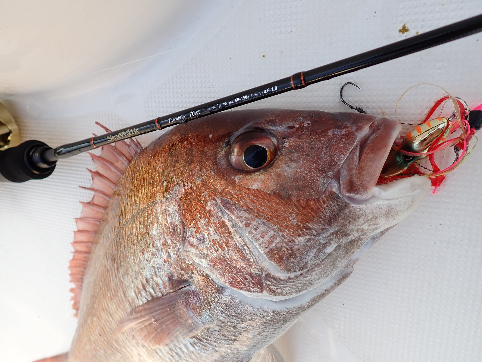 Yamaga Blanks Sea Walk Slider Rods NZ | TaiRubber - Monster Fishing