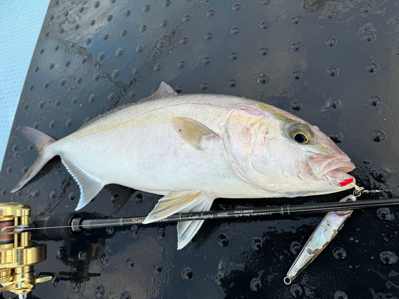 Yamaga Blanks - SeaWalk Light Jigging B66ML Overhead Rod