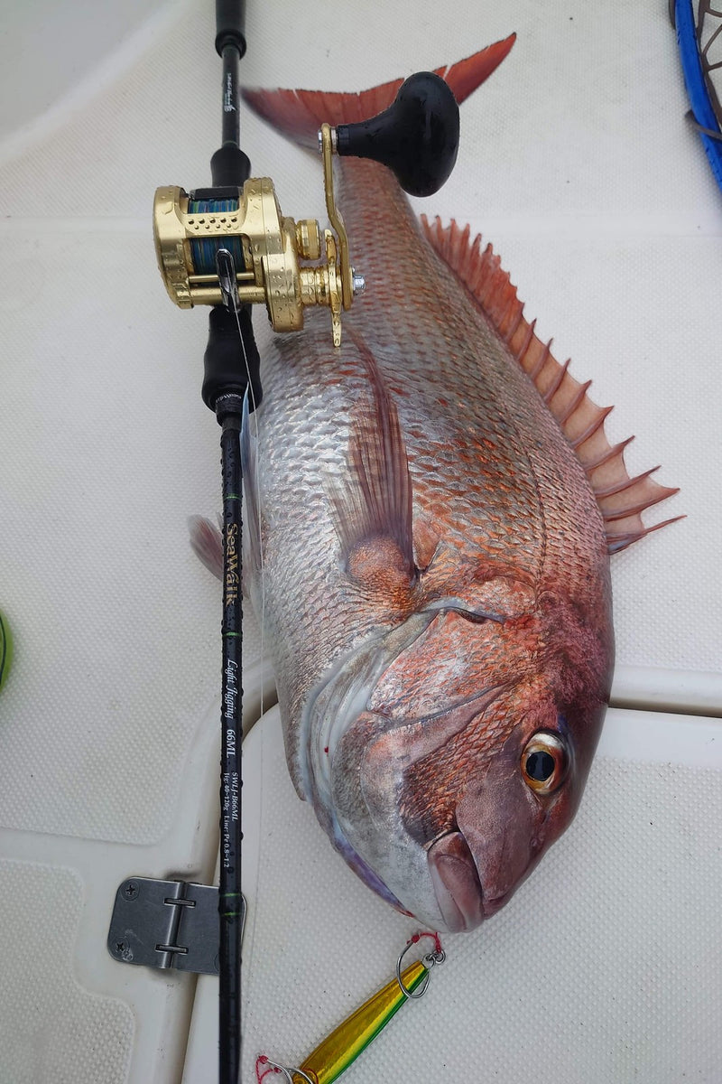 Yamaga Blanks - SeaWalk Light Jigging B66ML Overhead Rod