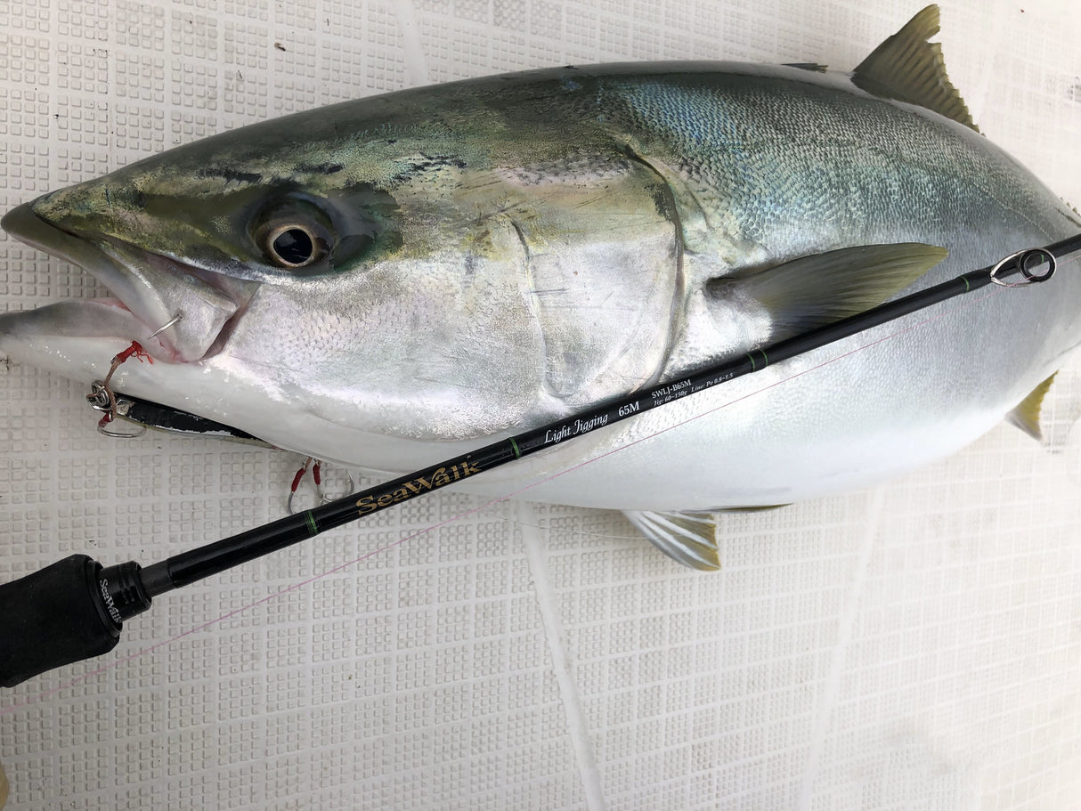 Yamaga Blanks - Sea Walk Light Jigging B65M