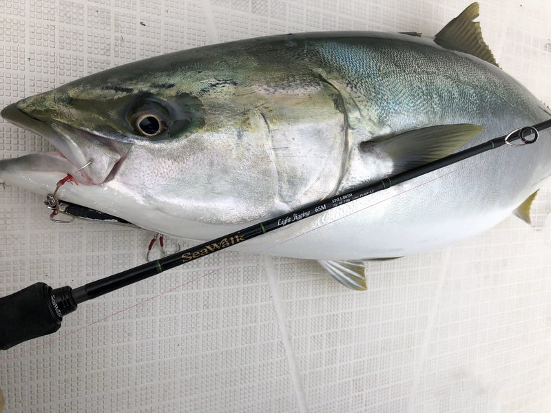 Yamaga Blanks - SeaWalk Light Jigging B65M Overhead Rod