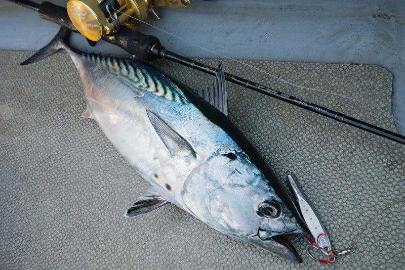 Yamaga Blanks - SeaWalk Light Jigging B65M Overhead Rod