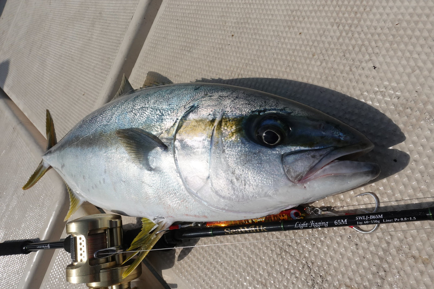 Yamaga Blanks - SeaWalk Light Jigging B65M Overhead Rod