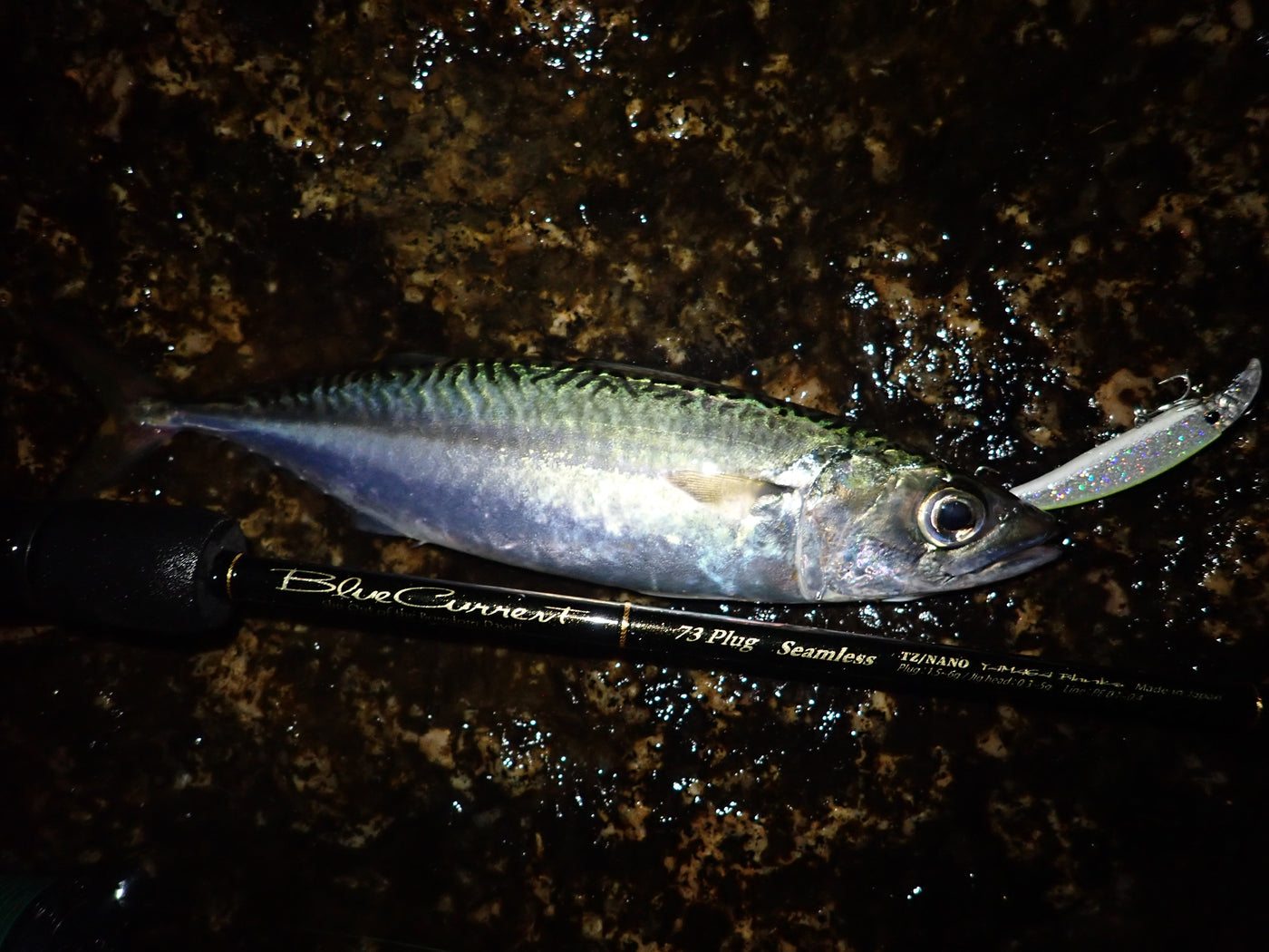 Yamaga Blanks - Blue Current 73Plug Seamless Spinning Rod