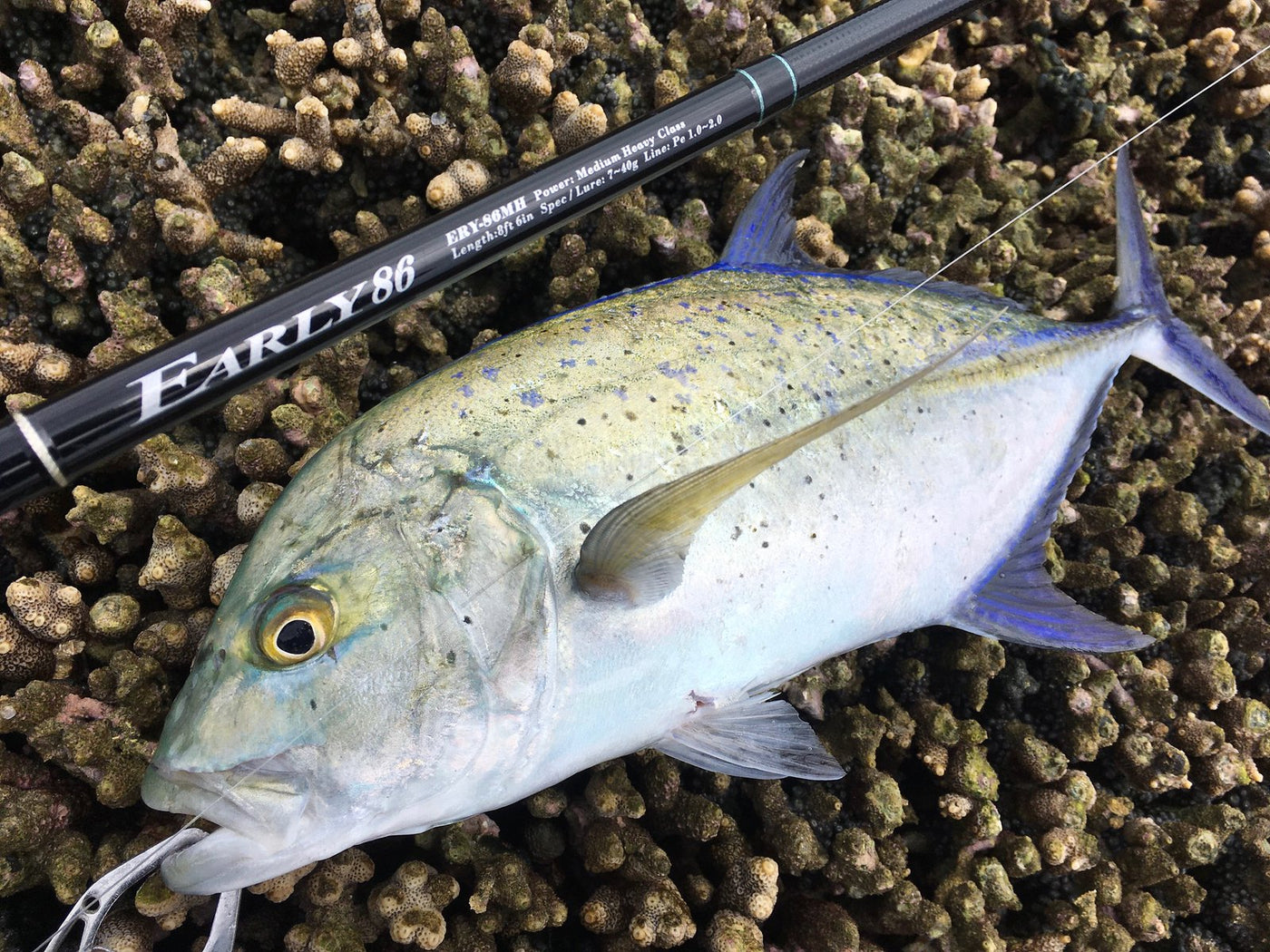 Yamaga Blanks - EARLY 86MH for Rock Spinning Rod