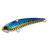 Sardine