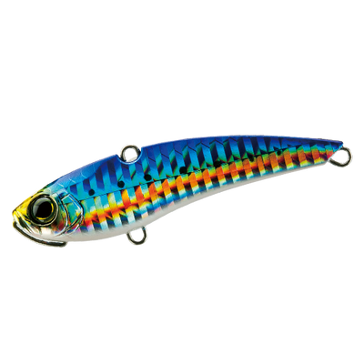 Sardine