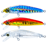 Hardcore - LG Minnow (F)