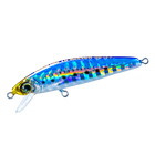 Sardine