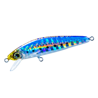 Sardine