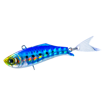 Sardine