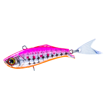 Pink Sardine