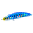 Sardine