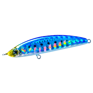 Sardine