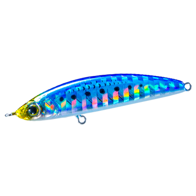 Sardine