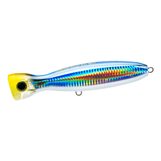 Pacific Saury