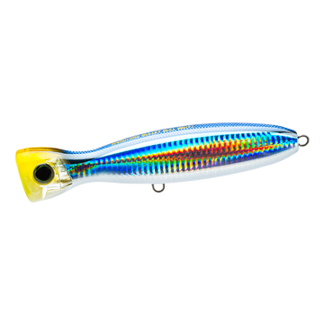 Pacific Saury