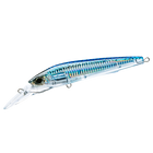Blue Mackerel