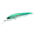Sardine