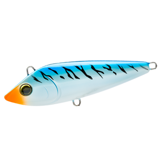 Blue Mackerel