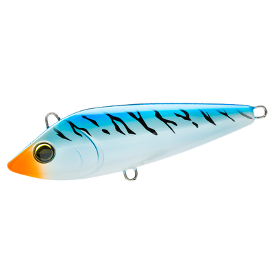 Blue Mackerel