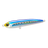 Sardine