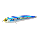 Sardine