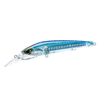Blue Mackerel