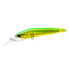 Dorado