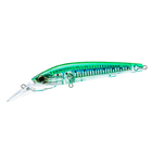 Sardine