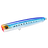 Sardine