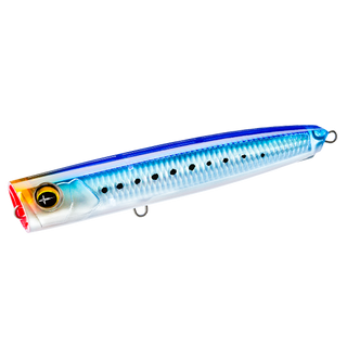 Sardine