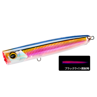 Kei Red Shiner