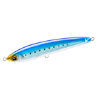 Sardine