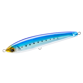 Sardine