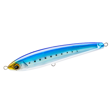 Sardine