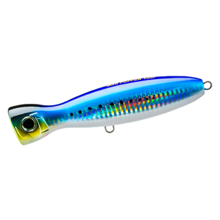 Sardine