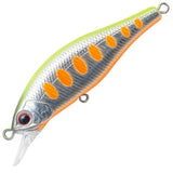 Palms - Alexandra 50HW