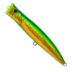 #AL-459 Dolphinfish