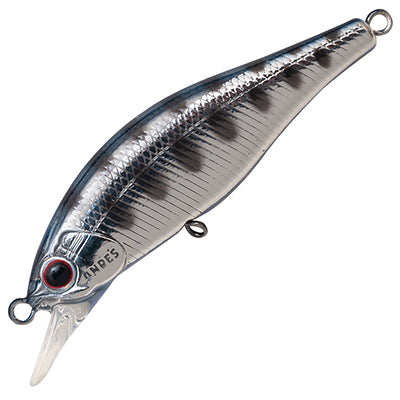 Palms - Alexandra 50HW