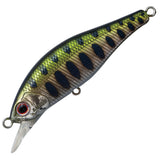 Palms - Alexandra 50HW