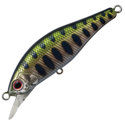 Palms - Alexandra 50HW