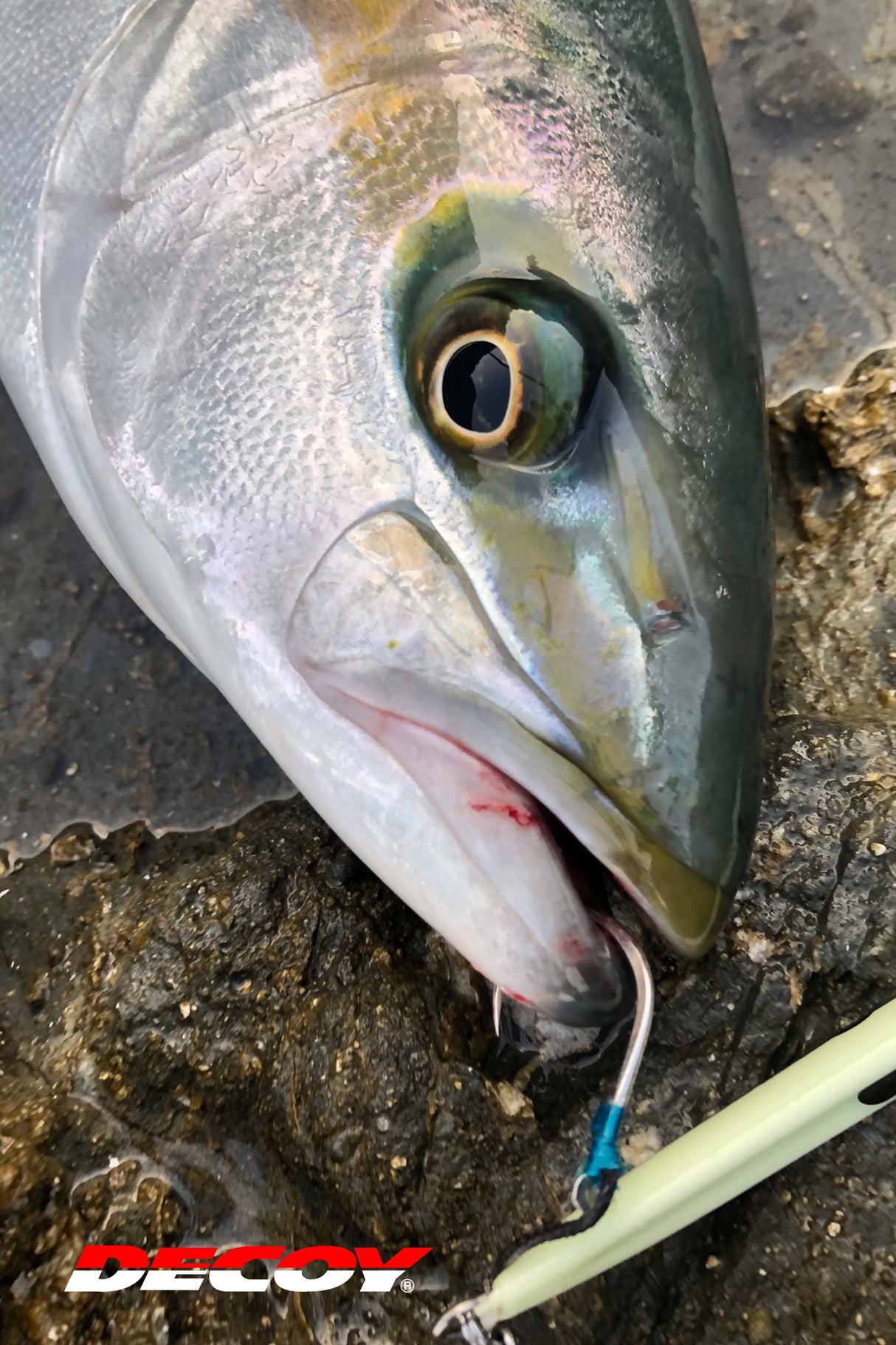 Decoy - Pike Jigging Hook