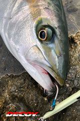 Decoy - Pike Jigging Hook