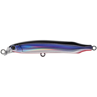 #19 Pacific Saury