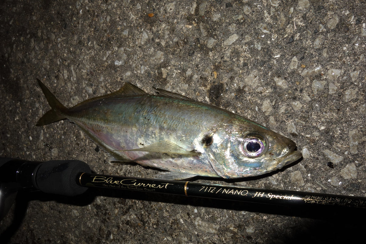 Yamaga Blanks - Blue Current 71 TZ/NANO