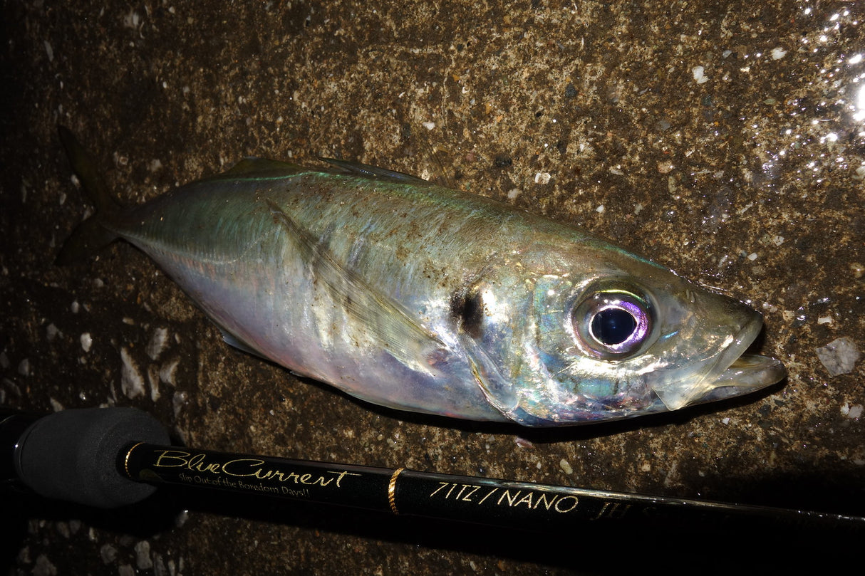 Yamaga Blanks - Blue Current 71 TZ/NANO